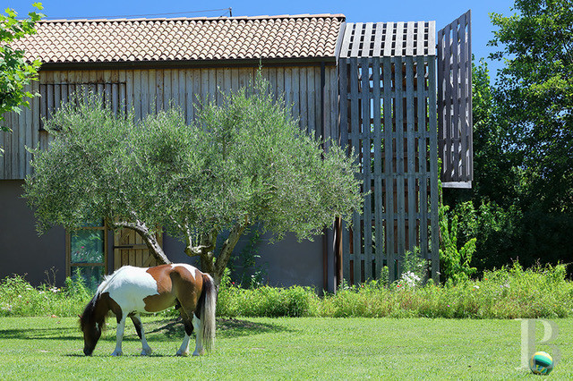 En Toscane, au nord de Pise, une villa contemporaine non loin de la mer - photo  n°2